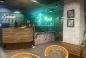 Cafe Yonder