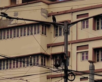 k-k-reality-ballygunge-kolkata-estate-agents-for-commercial-rental-dosbhsn6de