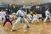 Mike’s Martial Art