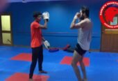 Mike’s Martial Art