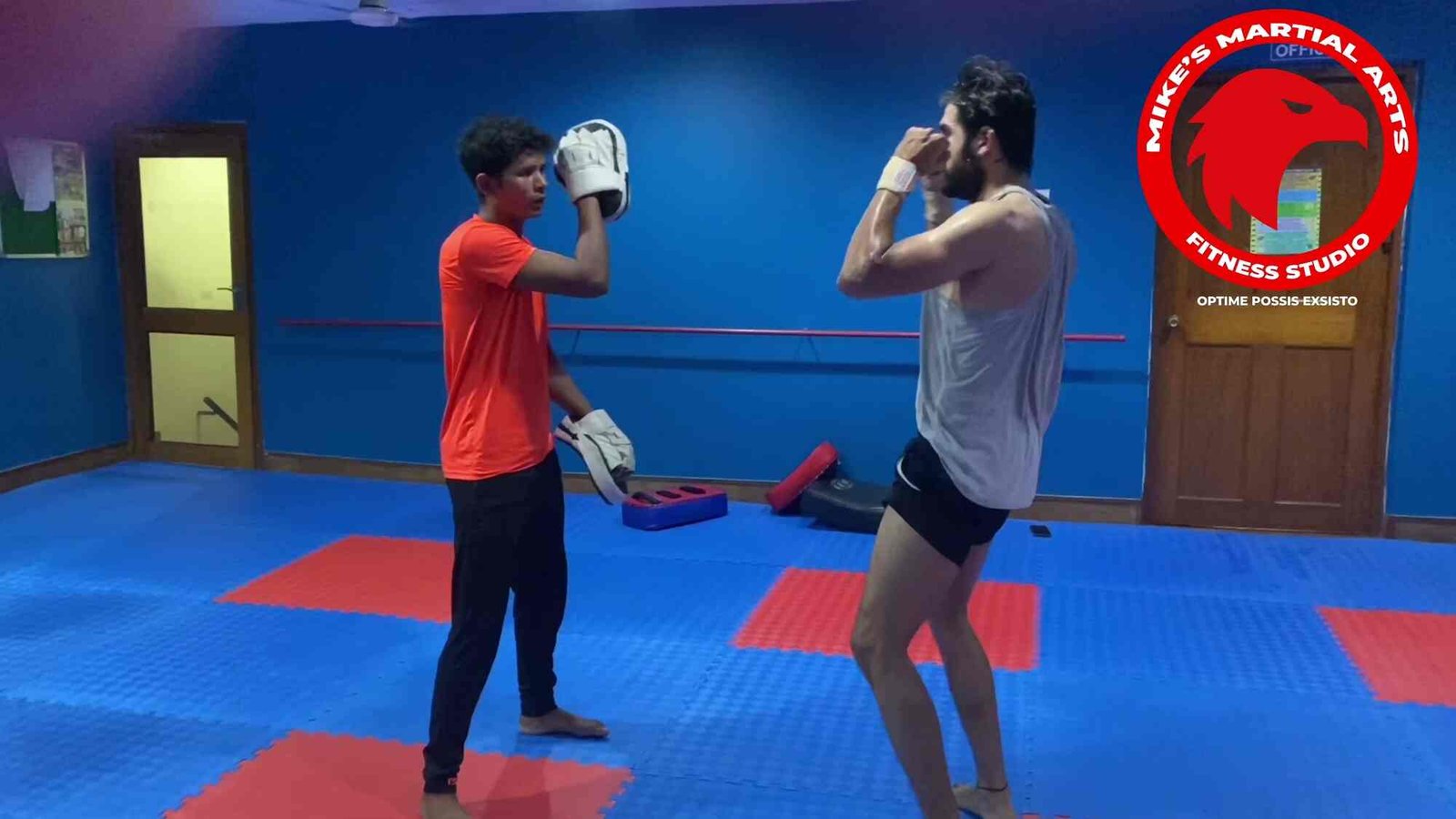 Mike’s Martial Art