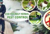 Pci 2 Pest Control Services