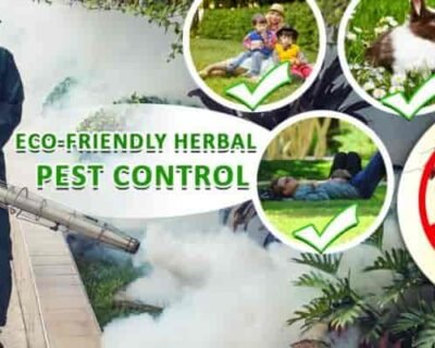 ayurvedic-pest-control-services-022pxx22.xx22.230113113200.g3w3-b75bf2u