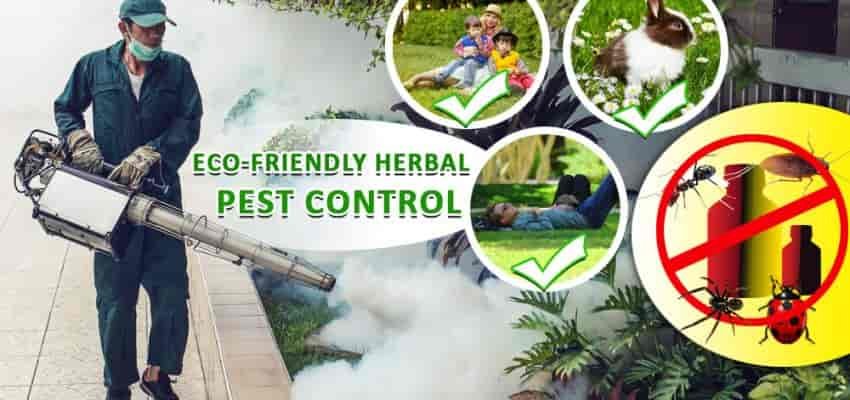 Pci 2 Pest Control Services