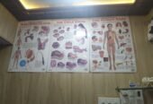 Poly Multispeciality Clinic