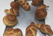 Nil’s Nature’s Bake Private Limited