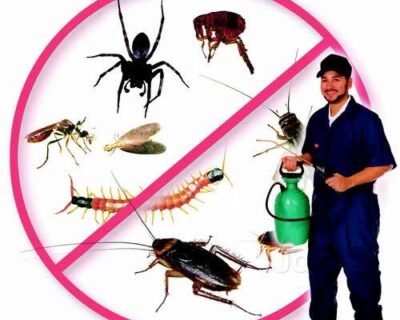 neon-pest-control-jogeshwari-east-mumbai-residential-pest-control-services-69uhqixiov