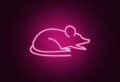 Neon Pest Control