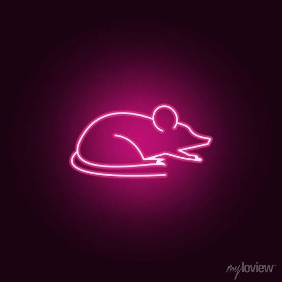 Neon Pest Control