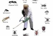 Neon Pest Control