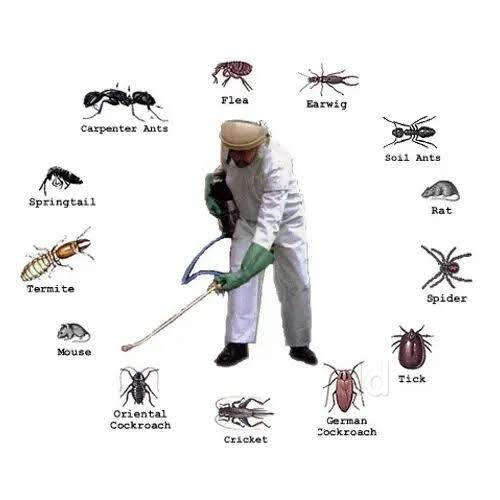 Neon Pest Control