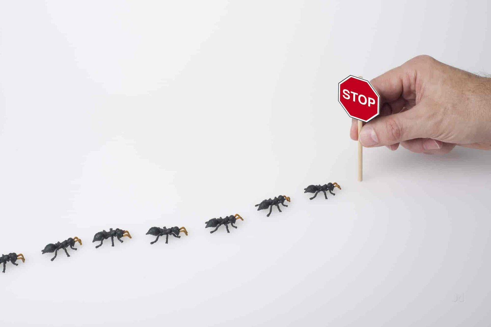Pci 2 Pest Control Services