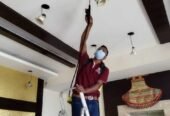 Pest Exit Solutions