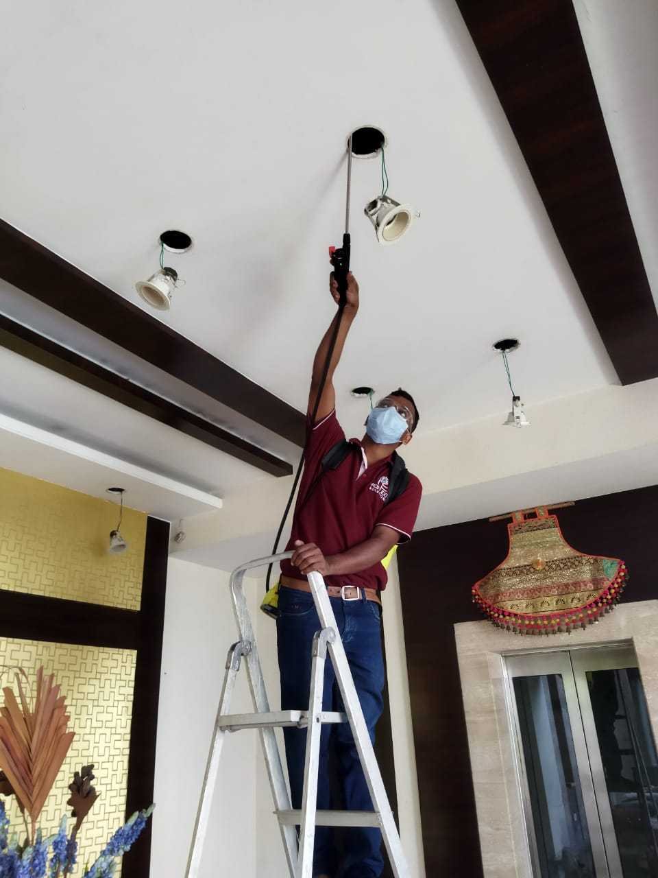 Pest Exit Solutions