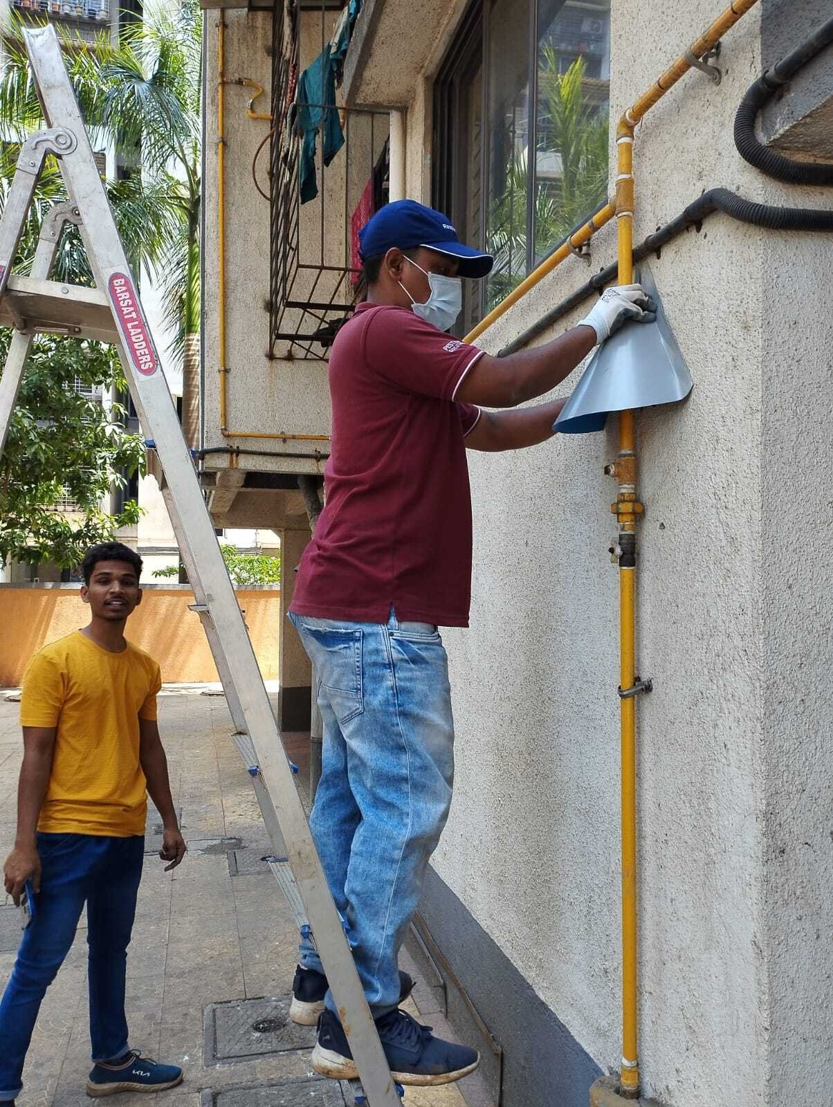Pest Exit Solutions