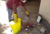 Pest Exit Solutions