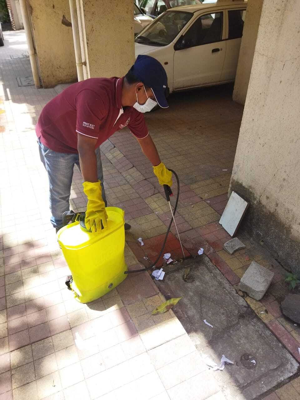 Pest Exit Solutions