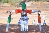 Pinewoods International High School & Junior College