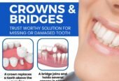 Shree Dental Clinic