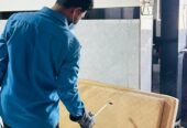 Shree Pest Control Services