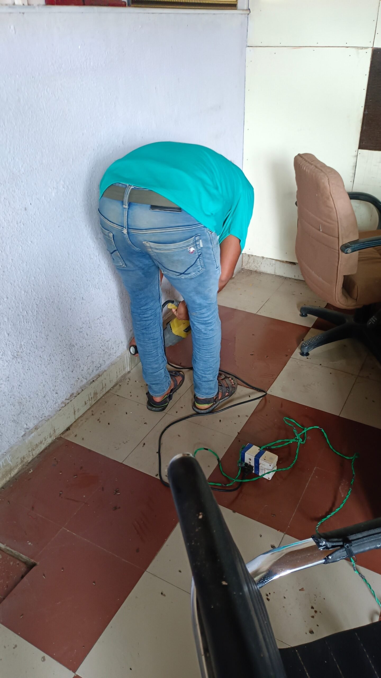 Shree Pest Control Services