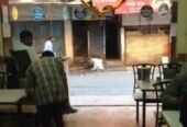 Siddhivinayak Restaurant