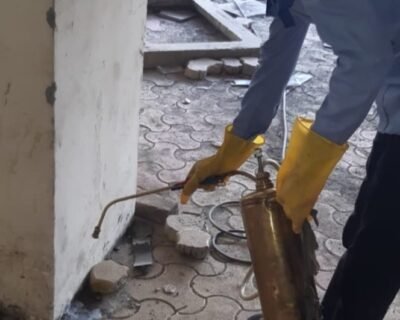 super-power-pest-control-service-ulhasnagar-no-4-thane-pest-control-services-25ndqhs5ww