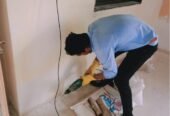 Super Power Pest Control Service
