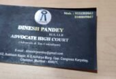 Dinesh Pandey & Associates