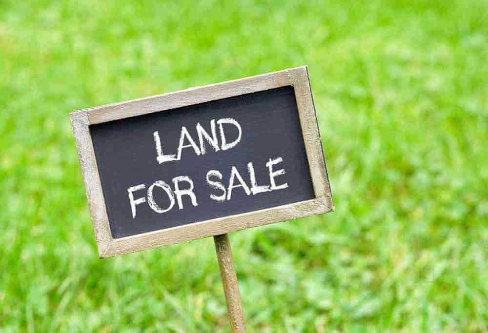 Sai Real Estate Consultancy