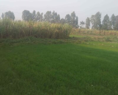 joshi-property-advisor-haldwani-ho-haldwani-estate-agents-bf0mf5cdss