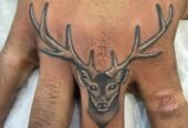 Shaillys Tattoo Studio