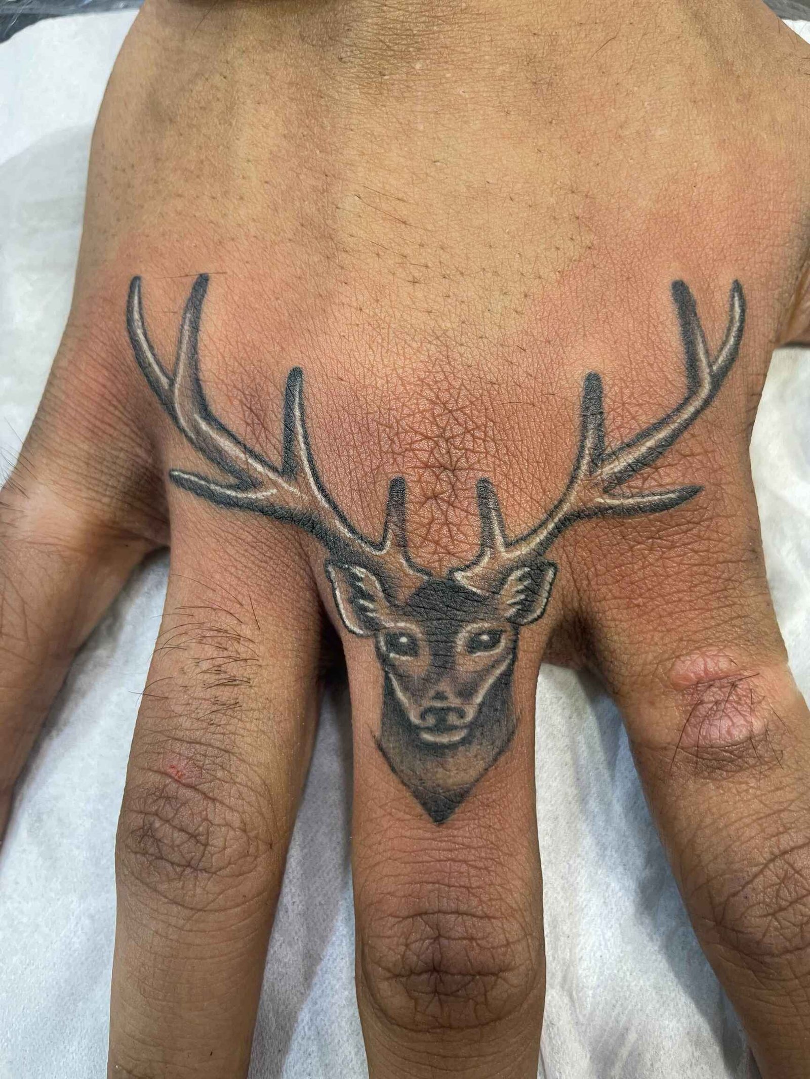 Shaillys Tattoo Studio