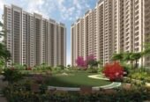 Shree Ganesh Estates